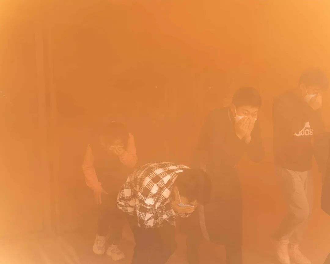 1668502478536491.jpg 1668502478536491.jpg