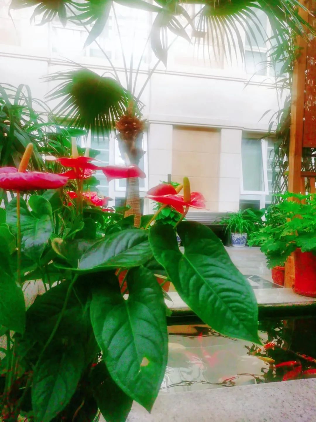 1671750353596253.jpg 1671750353596253.jpg