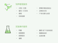 1680484843620554.png 1680484843620554.png