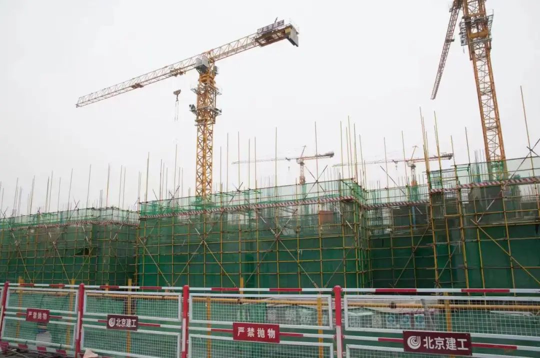 1680848364271160.jpg 1680848364271160.jpg