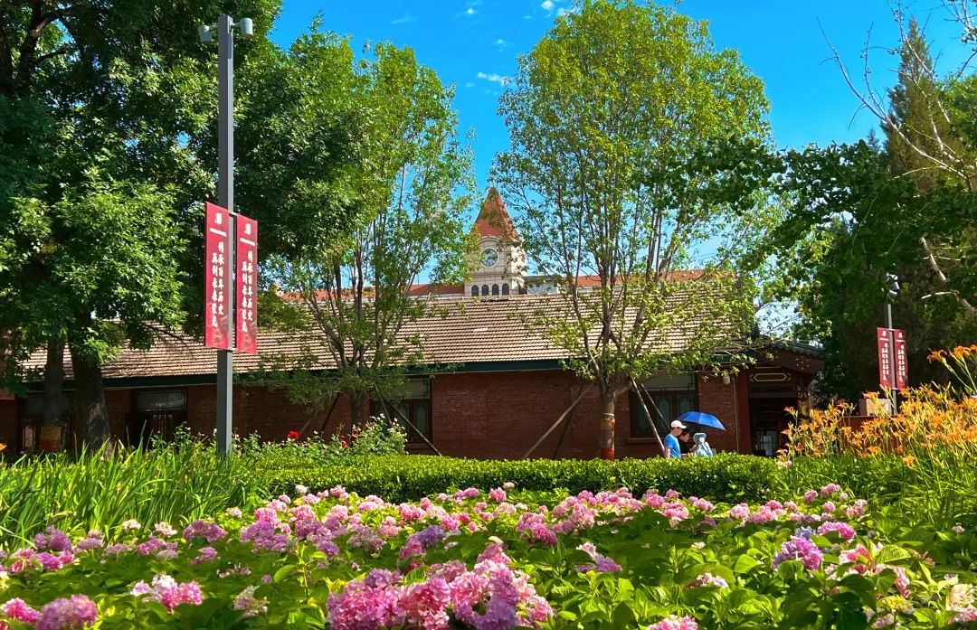 1687246383436191.jpg 1687246383436191.jpg